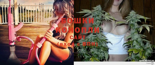 винт Бородино